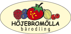 hojebromolla